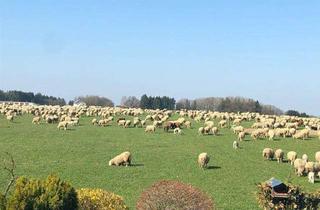 Anlageobjekt in 82319 Starnberg, Landwirtschaftlicher Grund mit Hütte und Waldfläche in Perchting