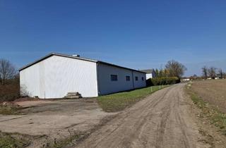 Gewerbeimmobilie kaufen in 39619 Kleinau, Große Hallen mit Werkstatt, Wohnhaus und Wiese.