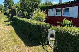 Gewerbeimmobilie kaufen in Koppelanger, 39126 Neustädter See, ⭐⭐⭐⭐⭐Kleingarten am Neustädter See in Magdeburg zu verkaufen