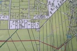 Gewerbeimmobilie kaufen in 14822 Borkheide, Wald mit Kiefernbestand