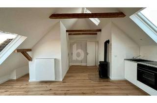 Penthouse kaufen in 21493 Schwarzenbek, MINIATUR PENTHOUSE MIT LOFT CHARAKTER