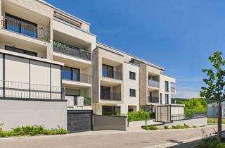 Wohnung mieten in Merlotweg, 71404 Korb, Erstbezug im Korber Viertele – Moderne Erdgeschosswohnung mit Terrasse