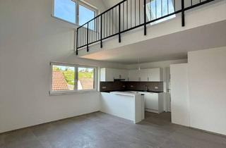 Wohnung mieten in Mörikestraße 14, 74348 Lauffen, Neubauwohnung mit Galerie, Loggia und TG-Stellplatz in Lauffen.