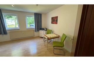Wohnung mieten in 67661 Hohenecken, Möbliertes Apartment