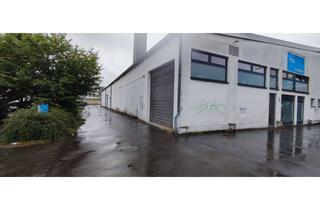 Büro zu mieten in Industriestr. 41a, 53721 Siegburg, 593 qm Halle, 356 qm Büro- und Nutzfläche, 375 qm Freifläche