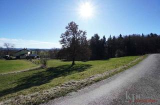 Grundstück zu kaufen in 82327 Tutzing, Starnberger See - Fast 12.000m² Wald- und Wiesenfläche mit Seeblick!