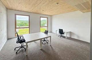 Büro zu mieten in Friedrich-Henning-Straße 17, 72555 Metzingen, Privatbüro 15 m² | Neuhausen | jetzt anfragen | provisionsfrei