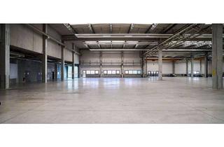 Büro zu mieten in Salzstraße, 09629 Reinsberg, Teambüro 150 m² | Dresden | jetzt anfragen | provisionsfrei