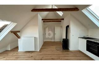 Penthouse kaufen in 21493 Schwarzenbek, Schwarzenbek - MINIATUR PENTHOUSE MIT LOFT CHARAKTER