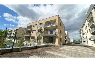 Wohnung mieten in Friedensstraße 41f, 01097 Leipziger Vorstadt, Moderne Etagenwohnung zur Miete mit Balkon in Dresden Neustadt - Wentzel Dr.