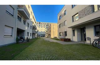 Wohnung mieten in Friedensstraße 41b, 01097 Leipziger Vorstadt, Moderne Etagenwohnung zur Miete mit Balkon in Dresden Neustadt - Wentzel Dr.