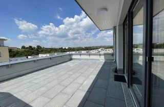 Penthouse mieten in Untere Schubertstraße, 74376 Gemmrigheim, Exklusives 2-Zimmer-Penthouse mit riesiger Traum-Dachterrasse und Blick auf den Neckar