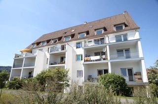 Wohnung mieten in Südbahnhofstrasse 48, 37213 Witzenhausen, Wohnung sucht netten Bewohner