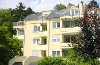 Wohnung mieten in Im Lorsbachtal 22, 65719 Hofheim am Taunus, Gemütliche 3-Zi-Whg mit 2 Balkonen