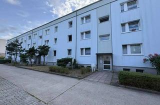 Wohnung mieten in Siegburger Straße, 14542 Werder (Havel), Alltagstaugliche 4-Zimmer-Wohnung in Werder (Havel)