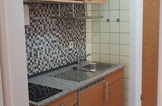 Wohnung mieten in Spitalhofstraße 73A, 94032 Passau, 27qm Apartment teilmöbliert mit EBK, 10 qm Terrasse, Keller und PKW-Stellplatz (zuzügl.40,00)