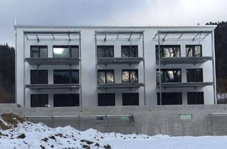 Wohnung mieten in Spinnfabrik, 78573 Wurmlingen, neuwertige 2,5 Zimmer Wohnung in Tuttlingen (Kreis), Wurmlingen