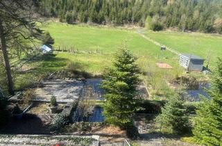 Einfamilienhaus kaufen in 57319 Bad Berleburg, Idyllisch gelegenes Einfamilienhaus+Einliegerwohnung, vielseitigen Nutzflächen und großem Potenzial!