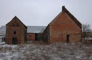 Haus kaufen in 06905 Priesitz, Attraktives Entwicklungsprojekt mit Nebengelass nahe der Elbe