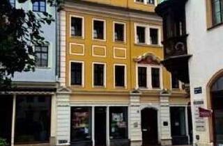 Haus kaufen in 01662 Meißen, MFH - Bekanntester Barockbau mitten in der Altstadt