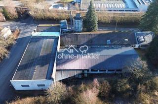 Geschäftslokal mieten in 58802 Balve, Produktions- /Lagerhalle mit Verwaltungsgebäude