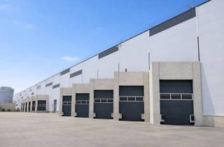 Gewerbeimmobilie mieten in 74889 Sinsheim, Sofort verfügbare Logistikhalle in Autobahnnähe - Rampen