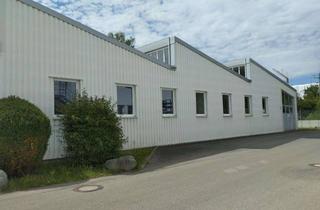 Gewerbeimmobilie mieten in Memminger Straße 18, 88400 Biberach, Effizient nutzbare Industriehalle in Biberach an der Riß