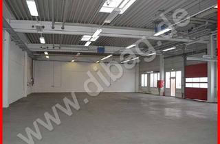 Büro zu mieten in Bürknersfelder Straße 5, 5a, 13053 Alt-Hohenschönhausen, Hallenfläche mit Büro in Berlin-Lichtenberg, OT Hohenschönhausen