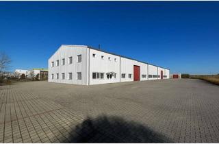 Gewerbeimmobilie mieten in Im Mittelfeld 16, 04509 Krostitz, Gewerbefläche mit 1.661 m² in Krostitz nahe Flughafen Leipzig/Halle - Landkreis Nordsachsen