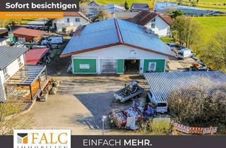 Gewerbeimmobilie kaufen in 78576 Emmingen-Liptingen, Vielseitig nutzbare Gewerbehalle mit Büro und großzügigem Grundstück in Emmingen-Liptingen