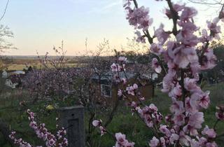 Grundstück zu kaufen in 16248 Liepe, NEUER ANGEBOTSPREIS | Baugrundstück mit unverbaubarem Fernblick unweit von Eberswalde