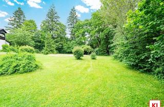 Grundstück zu kaufen in 86938 Schondorf, Nur ca. 300 Meter Luftlinie zum Ammersee