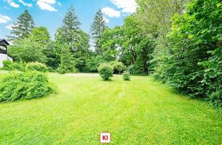 Grundstück zu kaufen in 86938 Schondorf, Nur ca. 300 Meter Luftlinie zum Ammersee
