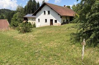 Grundstück zu kaufen in Froschau 21, 94133 Röhrnbach, Baugrundstück mit Altbestand – 985 m² in Randlage von Röhrnbach
