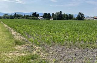 Grundstück zu kaufen in Am Kolberg 41, 83109 Großkarolinenfeld, Landwirtschaftliche Fläche in bester Lage