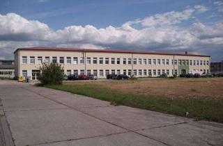 Gewerbeimmobilie mieten in Edisonstraße, 06766 Bitterfeld-Wolfen, LABOR- UND BÜROGEBÄUDE MIT ENTWICKLUNGSPOTENZIAL IN ETABLIERTER GEWERBELAGE VON BITTERFELD-WOLFEN