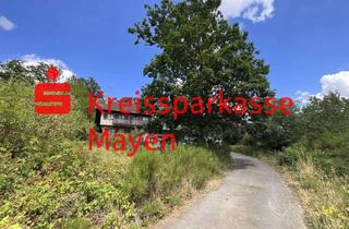 Immobilie kaufen in 56746 Kempenich, Nähe Nürburgring. Wohnanwesen auf fast 6.000m² Areal.