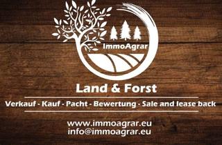 Gewerbeimmobilie kaufen in Hartstraße, 82346 Andechs, Verkaufe 4,05 ha Acker, Wiese + Halle in 82346 Frieding (STA)