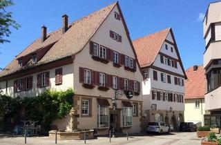 Wohnung mieten in 74336 Brackenheim, Historischer Charme trifft Moderne - toll sanierte 4-Zimmer-Wohnung im Fachwerkhaus