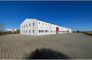 Gewerbeimmobilie mieten in 04509 Krostitz, Gewerbefläche mit 1.661 m² in Krostitz nahe Flughafen Leipzig/Halle - Landkreis Nordsachsen