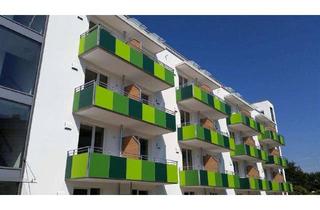 Wohnung mieten in Euskirchener Straße 84B, 53121 Endenich, 1- Zimmer Wohnung für Studenten