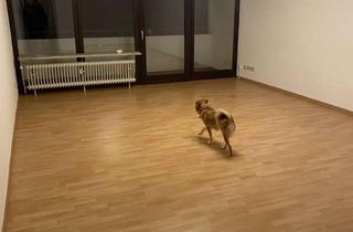 Wohnung mieten in Walpodenstraße 20, 55116 Altstadt, 1,5 Zimmer in charmanter Innenstadtlage