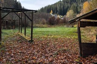 Grundstück zu kaufen in Rohnbachstraße 52, 54, 75337 Enzklösterle, Einzigartige Gelegenheit für Bauträger und Projektentwickler im Nordschwarzwald