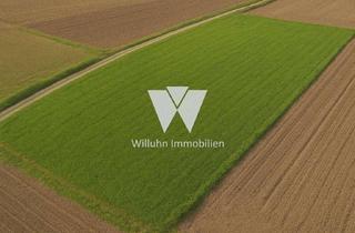 Grundstück zu kaufen in 04509 Wiedemar, Landwirte und Investoren aufgepasst | Verpachtete Landwirtschaftsfläche | 19,2 Hektar