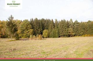 Gewerbeimmobilie kaufen in 92526 Oberviechtach, Wald-Wiese-Weiher mit beschaulichem Burgblick