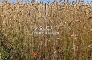 Gewerbeimmobilie kaufen in Gemarkung Loiching, Weigendorf, 84180 Loiching, Ackerflächen (landwirtschaftliche Nutzflächen)