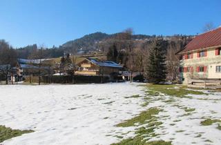 Einfamilienhaus kaufen in 87534 Oberstaufen, Oberstaufen - Privatverkauf Ideales Haus für Seniorenwohnen (2-3 Parteien)