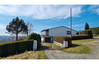 Einfamilienhaus kaufen in 07318 Saalfeld, Saalfeld (Saale) - Einfamilienhaus mit ELW und riesigem Grundstück in Ortsrandlage