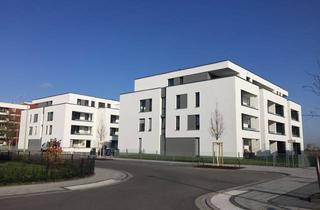 Sozialwohnungen mieten in Im Großen Garten, 53117 Buschdorf, 2 Zimmer Wohnung in Bonn-Buschdorf, nur mit WBS