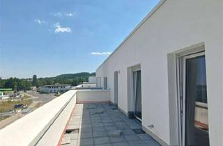 Penthouse mieten in 64380 Roßdorf, Neubau-Penthouse in Roßdorf: Modern, kompakt & mit großer Sonnenterrasse
